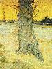 Vincent Van Gogh. Trunk of an Old Yew Tree