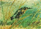 Vincent Van Gogh. The Kingfisher.