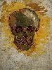 Vincent Van Gogh. Skull.