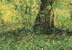 Vincent Van Gogh. Undergrowth.