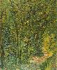 Vincent Van Gogh. Path in the Woods.