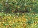 Vincent Van Gogh. Park at Asnieres in Spring (on loan from a private collection).