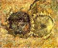 Vincent Van Gogh. Two Cut Sunflowers.