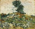 Vincent Van Gogh. Rocks with Oak Tree.
